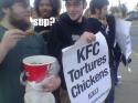 5063kfc-torture-chicken.