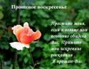 50716_proshenoe_voskresene.