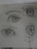 50964_Foto0169.