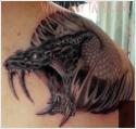 50990_Snake-Tattoo-Designs-27.