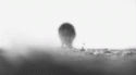 51151_5851048_0_0_5799840_0_0_vvvv_tlog_tlog.