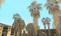 51180_DLC_HQ_palms_1er_prototype_WS_001.