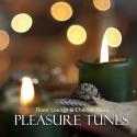 51312_1357675128_pleasure-tunes-cover.