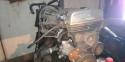 51336_3497078napedisfaiconca10082534.