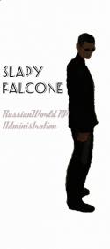 51595_SlapyFalcone.