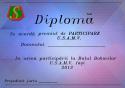 51637_particip_el.
