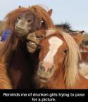 51679_funny-horse-pic-drunken-girls.