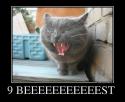 51716_704994_9-beeeeeeeeeeest-_demotivators_to.
