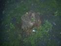 51729_WP_20140531_020.