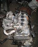 51770_9133289chovecangcurrfero18561047.