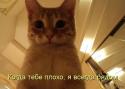 51830_pK-oKiGoQw0.