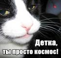 51854_nJlINJXdsRg.