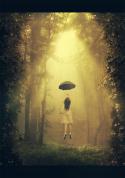 51905_fairytale-fly-forest-girl-heaven-Favim_com-350446.