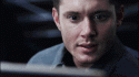 51941_tumblr_m7bp18iVGP1qhhkei.