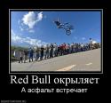 523261766_red-bull-okryilyaet.