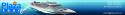 52366_cruise.