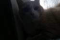 52384_IMAG0279.