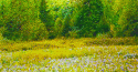 5242tumblr_lvbtyiRSaL1qaa99co3_250.