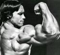 52526_arnold_schwarzenegger_arm.