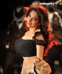 52838_after-tamanna241112_2.