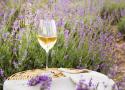 52845_WINE.