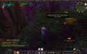 5304WoWScrnShot_011210_222907.