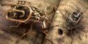 53205_brass-bugs.