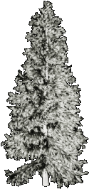 53219_mzimm_icyandfrosty_tree.