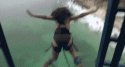 53282_tumblr_lpmgkmZYbF1qg39ewo1_500.