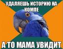 53319_L76bTtO8Iok.