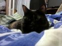 53332_Foto0229.