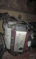 53381_398615coatdotcoukidrefan19578165.