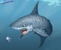 53419_aquafanat_info-shark.