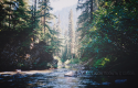 534tumblr_lwit5atcg41qfc7l9o1_500_large.