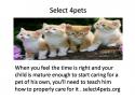 53528_Select_4pets.