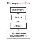 53803_belko.