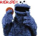 5380cookiemonster-767933.