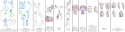 53935_New_Canvas.