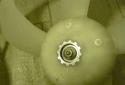 5409_13230204gibibmicortuga8678655.