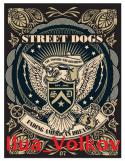 5418StreetDogs.