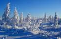 5421moroz.