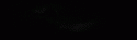 54227_1291488.