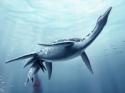 54350_Plesiosaurus5.