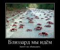 54453_266565_blizzard-myi-idyom_demotivators_ru.