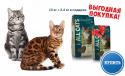 54477_ALL-CATS-dlya-rassylki_600h366.