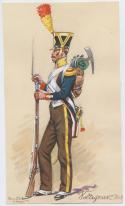 5493Voltigeur_1808.