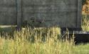 54985_arma2oa_2013-12-21_01-05-36.