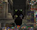 55020_WoWScrnShot_111908_162515.