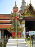 5503DSCN5631.