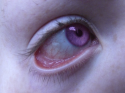 55132_tumblr_m6y2w6GXqL1qgfax4o1_500_large.